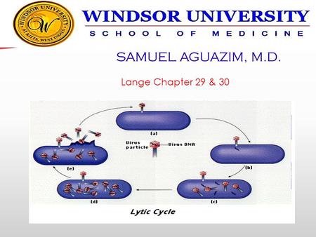 Viral Genetics and Replication SAMUEL AGUAZIM, M.D.