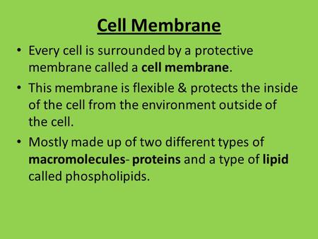 Cell Membrane Every cell is surrounded by a protective membrane called a cell membrane. This membrane is flexible & protects the inside of the cell from.