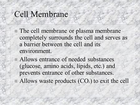 Cell Membrane n The cell membrane or plasma membrane completely surrounds the cell and serves as a barrier between the cell and its environment. n Allows.