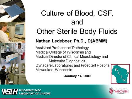 Culture of Blood, CSF, and Other Sterile Body Fluids