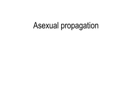 Asexual propagation. Why use asexual propagation? Uniformity Propagate non-seed producing plants Avoid seedborne diseases To create insect or disease.