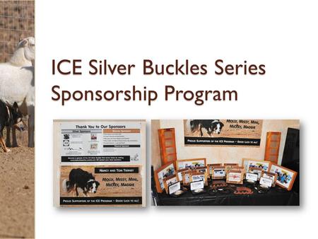 ICE Silver Buckles Series Sponsorship Program. What is ICE? Dog Training Methodology developed to maximize performance and create a community of positive.