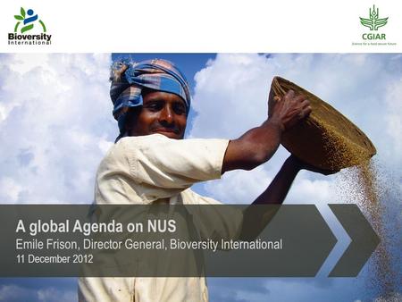 A global Agenda on NUS Emile Frison, Director General, Bioversity International 11 December 2012.