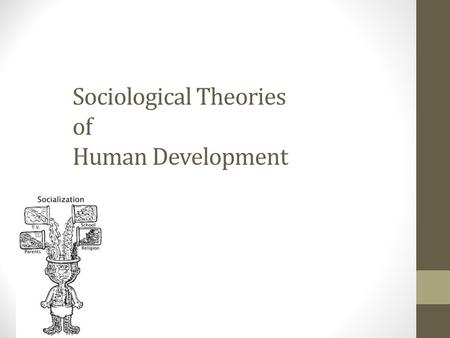 Sociological Theories of Human Development. Sociological theories of human development Do not copy Although, social scientists acknowledge the contributions.