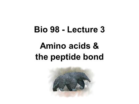 Bio 98 - Lecture 3 Amino acids & the peptide bond.