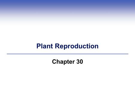 Plant Reproduction Chapter 30. Impacts, Issues Plight of the Honeybee  Flowering plants coevolved with animal pollinators such as honeybees – now pesticides.