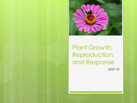 Plant Growth, Reproduction, and Response