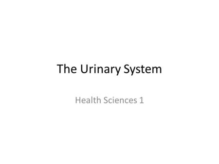 The Urinary System Health Sciences 1.