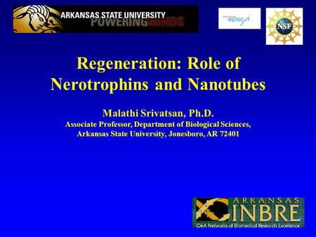 Regeneration: Role of Nerotrophins and Nanotubes Malathi Srivatsan, Ph.D. Associate Professor, Department of Biological Sciences, Arkansas State University,