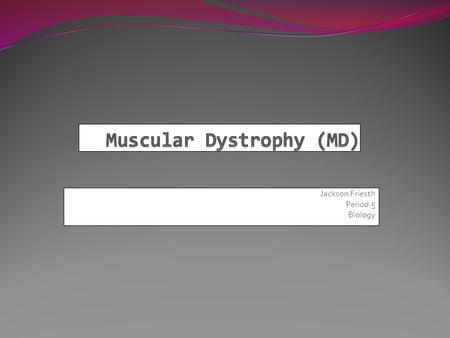 Jackson Friesth Period 5 Biology. The Origin of Muscular Dystrophy Muscular dystrophy is a recessive gene, that if passed down will cripple vital muscle.