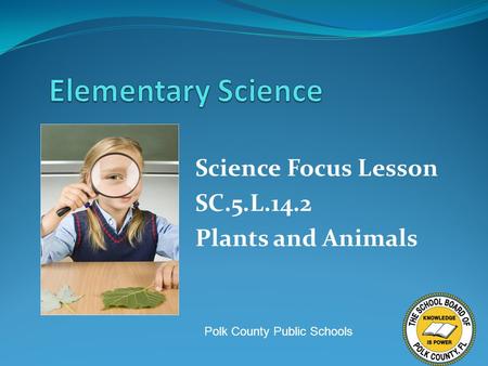 Science Focus Lesson SC.5.L.14.2 Plants and Animals