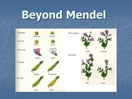 Beyond Mendel.