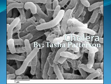 By: Tasha Patterson. Description Cholera is an acute, diarrheal illness caused by infection of the intestine with the bacterium Vibrio cholerae. It is.