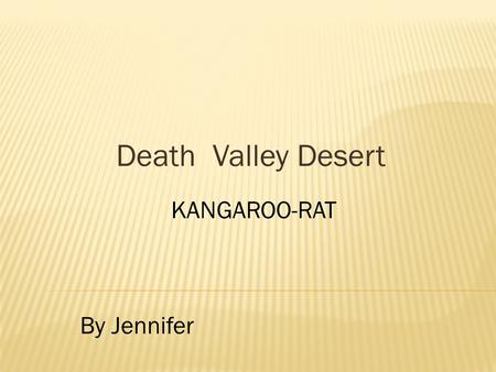 Death Valley Desert KANGAROO-RAT By Jennifer. plants cactus mountains animals rocks Death valley sand.