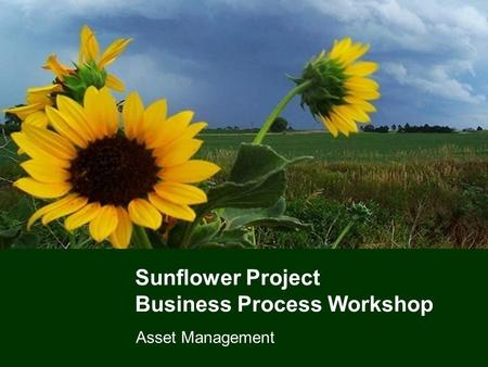 Sunflower Project Business Process Workshop