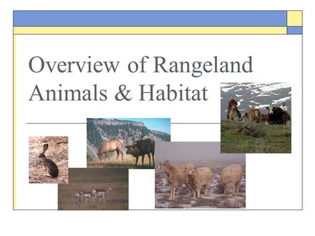 Overview of Rangeland Animals & Habitat. Objectives  Define habitat  Identify and discuss four basic elements of habitats  Identify and discuss limiting.