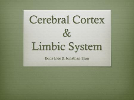 Cerebral Cortex & Limbic System Ilona Blee & Jonathan Tsun.