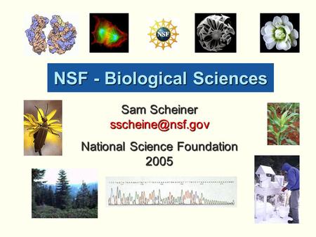 NSF - Biological Sciences Sam Scheiner National Science Foundation 2005.