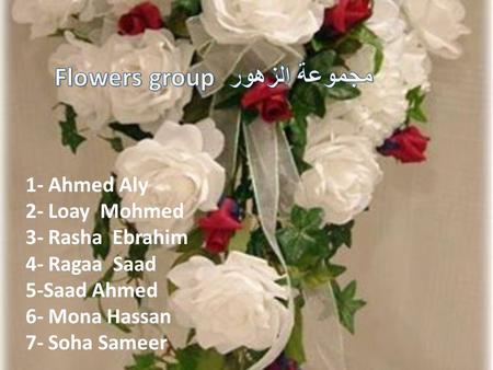 1- Ahmed Aly 2- Loay Mohmed 3- Rasha Ebrahim 4- Ragaa Saad 5-Saad Ahmed 6- Mona Hassan 7- Soha Sameer.