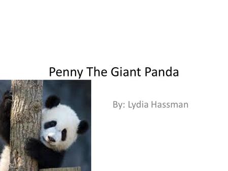 Penny The Giant Panda By: Lydia Hassman. There once was a young panda named Penny. She lived with her mom Pearl, her dad Preston, and her brother Poe.