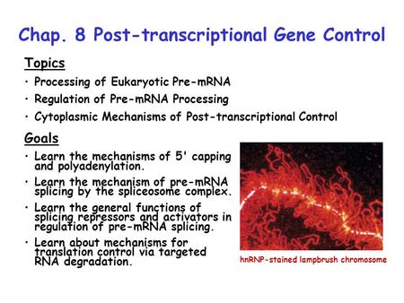 Chap. 8 Post-transcriptional Gene Control