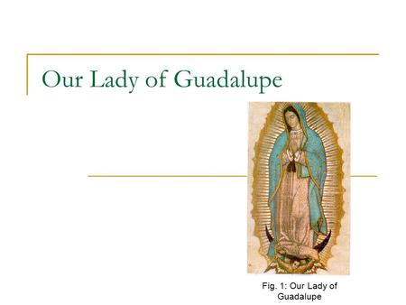 Fig. 1: Our Lady of Guadalupe