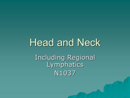 Including Regional Lymphatics N1037