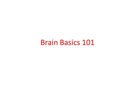 Brain Basics 101. Reptilian Brain: The “Preverbal Brain” Brain Stem Oldest and smallest region Controls life itself Governs basic, but critical survival.