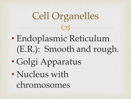  Endoplasmic Reticulum (E.R.): Smooth and rough. Golgi Apparatus Nucleus with chromosomes Cell Organelles.