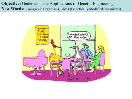 Objective: Understand the Applications of Genetic Engineering New Words: Transgenic Organisms, GMO (Genetically Modified Organisms)