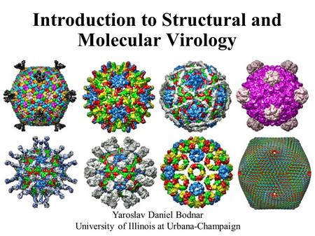 Introduction to Structural and Molecular Virology Yaroslav Daniel Bodnar University of Illinois at Urbana-Champaign.