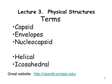 1 Lecture 3. Physical Structures Terms Capsid Envelopes Nucleocapsid Helical Icosahedral Great website: