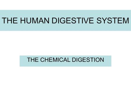 THE HUMAN DIGESTIVE SYSTEM THE CHEMICAL DIGESTION.