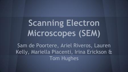 Scanning Electron Microscopes (SEM) Sam de Poortere, Ariel Riveros, Lauren Kelly, Mariella Piacenti, Irina Erickson & Tom Hughes.