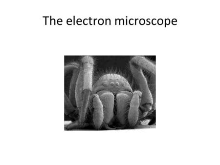 The electron microscope. Features of the electron microscope Electron beam has short wavelength so it can resolve objects well Electrons are negatively.