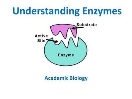 Understanding Enzymes Academic Biology. Enzyme A large protein molecule Specific shape with deep folds on its surface Deep folds form pockets called active.