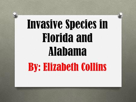 Invasive Species in Florida and Alabama By: Elizabeth Collins.