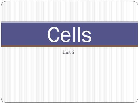 Cells Unit 5.