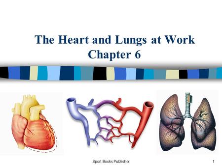 Sport Books Publisher1 The Heart and Lungs at Work Chapter 6.