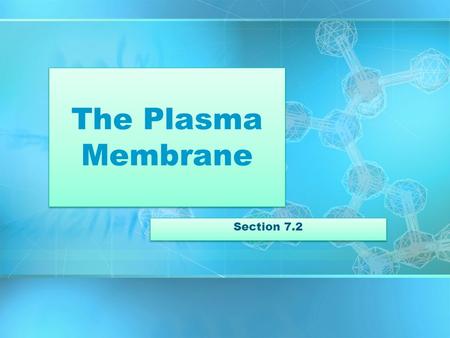 The Plasma Membrane Section 7.2.
