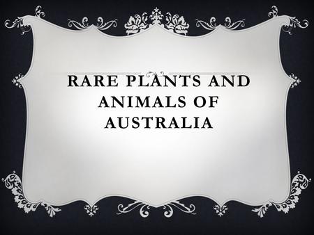 RARE PLANTS AND ANIMALS OF AUSTRALIA. INTRODUCTION Australia has many endemic species of rare plants and animals. Some of animals are kangaroos, platypuses,