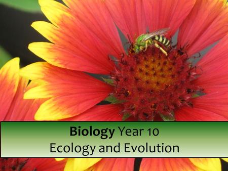 GZ Science resources Biology Year 10 Ecology and Evolution.