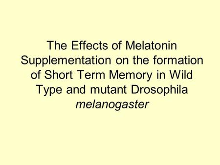 The Effects of Melatonin Supplementation on the formation of Short Term Memory in Wild Type and mutant Drosophila melanogaster.