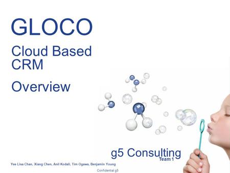 Cloud Based CRM Overview