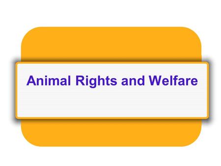 Animal Rights and Welfare