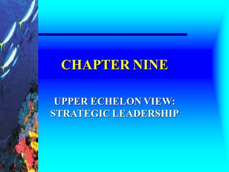 UPPER ECHELON VIEW: STRATEGIC LEADERSHIP