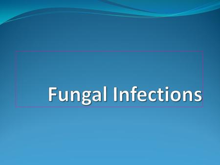Fungal Infections Who is at Risk Seriously ill patients being treated with Corticosteroids Antineoplastic drugs Immunosuppressive drugs Patients with.