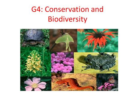 G4: Conservation and Biodiversity