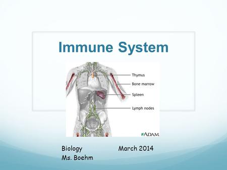 Immune System BiologyMarch 2014 Ms. Boehm. What is the Immune System? The body’s defense system, which fights off pathogens that cause disease- it keeps.