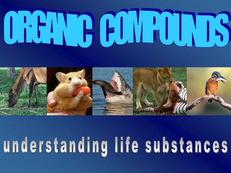 understanding life substances